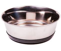 Understand Everything In Brief About Metal Dog Food Bowls post thumbnail image