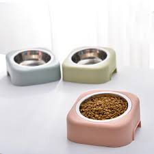 Trends in Dog Bowls post thumbnail image