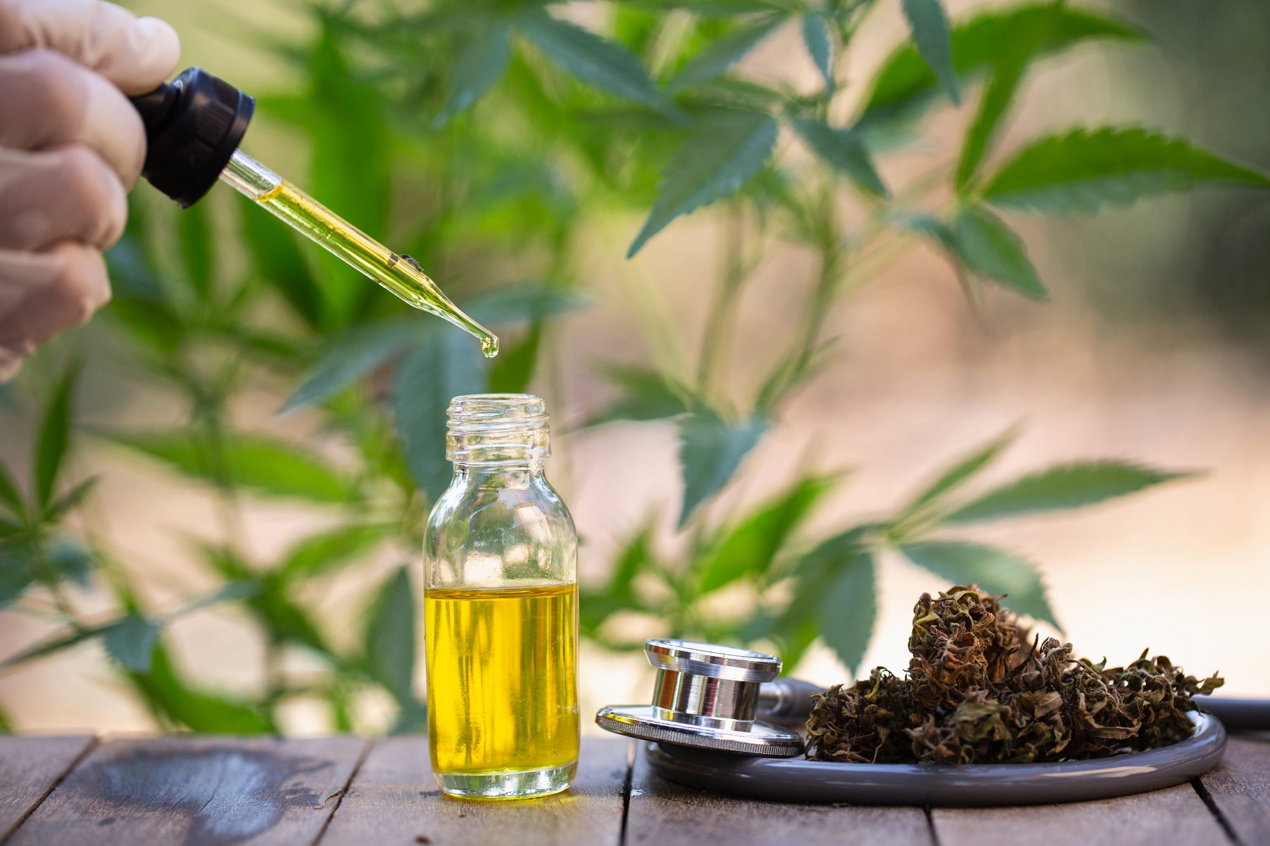 Try To Find The Best CBD Oil Online! post thumbnail image