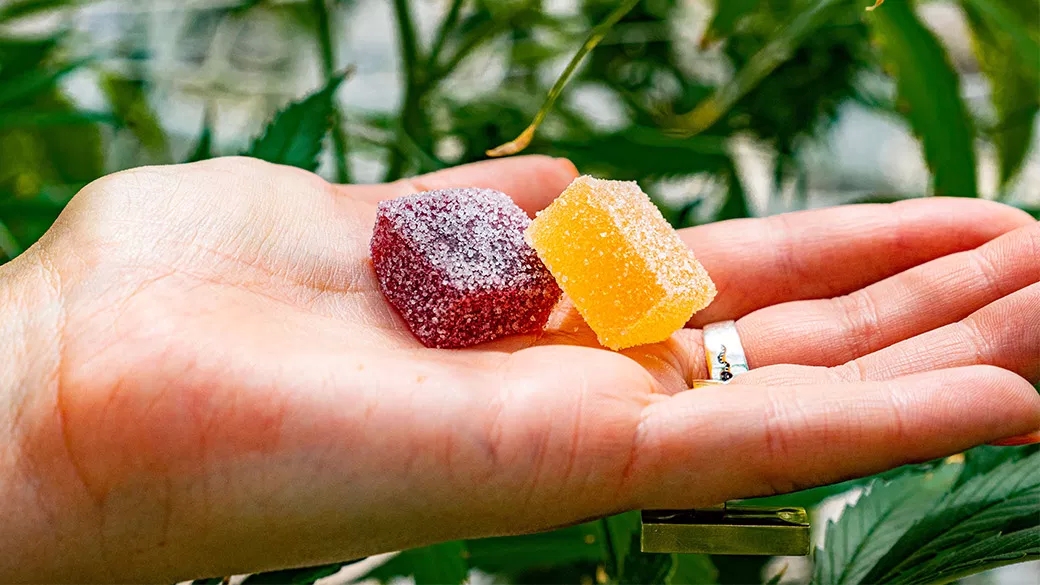 How to Choose the Right CBD Gummies for You post thumbnail image