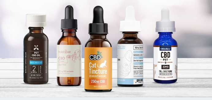 Exploring The Benefits of Giving Your Cat an All-Natural CBD Oil post thumbnail image